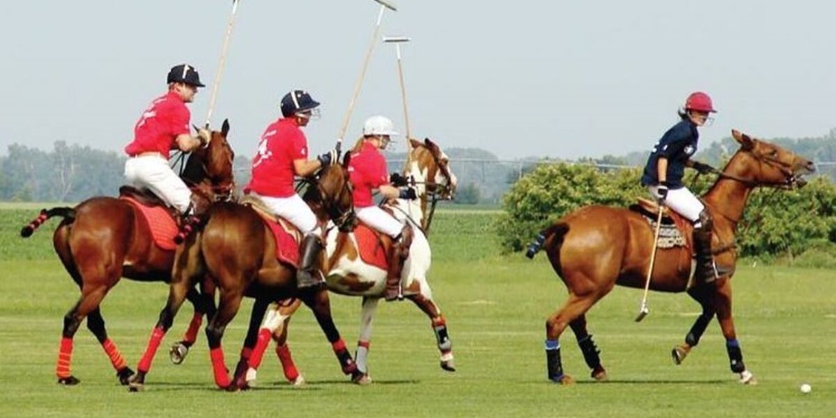 41688171 2138392502879102 8379401441248280576 n