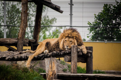 IMG 0879 alex a diego scaled 1