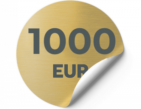 Icon 1000 EUR blank