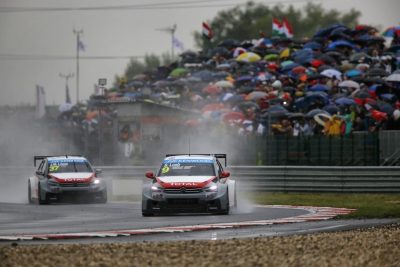 Csm MGL0879 226cc474f4